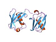 1tbe: STRUCTURE OF TETRAUBIQUITIN SHOWS HOW MULTIUBIQUITIN CHAINS CAN BE FORMED