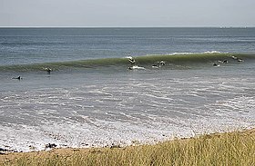 Image illustrative de l’article Spots de surf de l'île de Ré