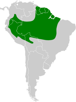 Distribución geográfica del ticotico lomirrufo.