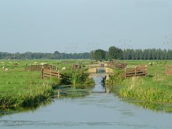 A typical polder near the town