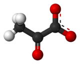 Ball-and-stick model of the pyruvate anion