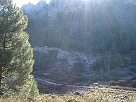 Sendero de Grazalema al puerto del Boyar helado.