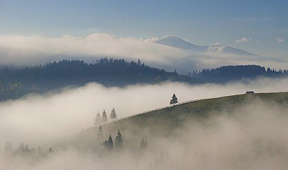 Monte Petros (2020 m), reserva da biosfera dos Cárpatos, Ucrânia. Petros é uma montanha nos Cárpatos ucranianos, no distrito de Rakhiv da região da Transcarpátia. É um dos picos mais altos das montanhas de Montenegro. Um destino popular de caminhada. Está localizado na parte noroeste do maciço entre as montanhas Sheshul (sudoeste) e Hoverla (leste). As encostas oeste e sudoeste são íngremes com numerosos afloramentos rochosos, as encostas norte e nordeste são íngremes, com bordas rochosas. Existem antigas formações de relevo glacial. É constituído por arenitos e coberto principalmente com vegetação subalpina: arbustos comuns (zimbro-siberiano, rododendros), matagais de mirtilo e florestas de abetos (até 1530-1600 m de altitude). No inverno, muitas vezes ocorrem avalanches. Há um abrigo turístico nas encostas do sul abaixo do prado da montanha Rogneska. (definição 4 100 × 2 419)