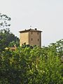 Torre- Piccionaia