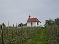 Kapelle St. Antonius bei Selmnau