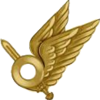 2016 to present badge of Ukrainian aviation