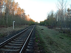 Вид со стороны Янисъярви.