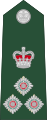 Brigadier general (Barbados Regiment)