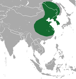 Distribución de Erinaceus amurensis