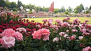 Aramaki rose park