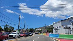 Puerto Rico Highway 402 in Caracol