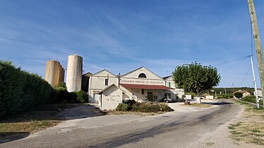 La cave coopérative.