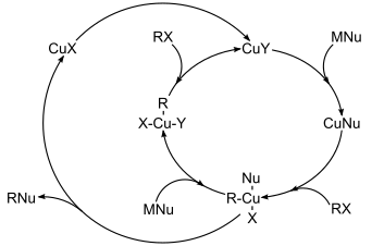 Copper cross coupling proposed mechanism