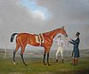 Thoroughbred mare Eleanor, the first female horse to win the Epsom Derby (1801)