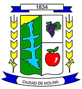 Molina