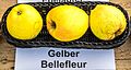 Gelber Bellefleur