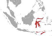 Sulawesi and the Lesser Sunda Islands near Java