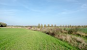 Grenzer See mit Ornithologenhütte