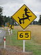 New Zealand: exceptional curves/ intersections/ R.R. x-ing situation.