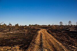 Effets de l'incendie du 19 avril 2015