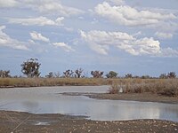 Narran Lake Nature Reserve