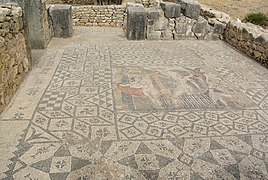 Vue générale de la mosaïque de Diane dans la Maison de Vénus