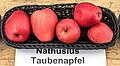 Nathusius’ Taubenapfel