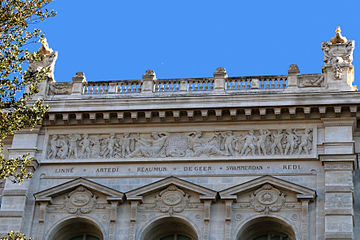 Frise du muséum d'histoire naturelle.