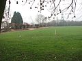 Pollarded willow trees along the edge of the playing fields by Ferry Hinksey Road