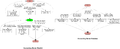 Diameter Accounting State Machines (Server)