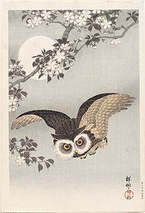 Scops Owl, Cherry Blossoms, and Moon, 1926