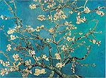 Almond Blossoms, 1890. In February 1890 soon after the birth of his nephew Vincent Willem, the son of Theo and Johanna, Vincent wrote in a letter to his mother: I started right away to make a picture for him, to hang in their bedroom, big branches of white almond blossom against a blue sky. [14]