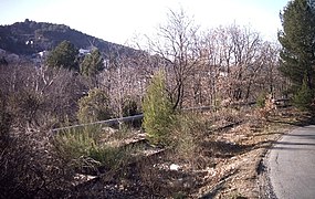 Entre Pont-de-Joux et la Bouilladisse.