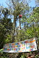Little Red Toolangi Treehouse protest in Toolangi State Forest