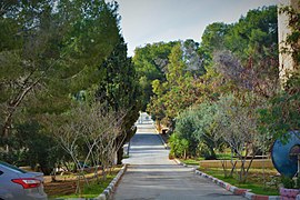 A road towards Al–Quds University, picture taken in 2018