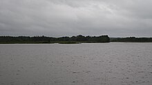 Body of water with a forest in the background