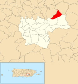 Location of Beatriz within the municipality of Cayey shown in red