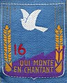 Insigne du CJF 16 (1er modèle).