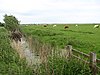 Halvergate Marshes