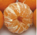 Kishu mikan