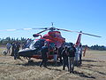 HH-65C "Cutter Dolphin"