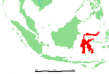 Sulawesi