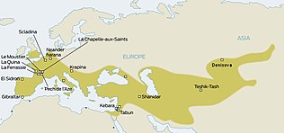 Ареал распространения Homo neanderthalensis, а также основных их объектов. Мустьерская индустрия найдена и за пределами этого ареала (например, Иордания, Саудовская Аравия)