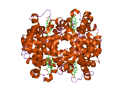 3d17: A triply ligated crystal structure of relaxed state human hemoglobin