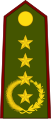 General de ejército (Paraguayan Army)[19]