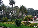 Vincenti Gardens