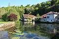 La Saulx à Rupt-aux-Nonains.