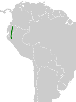 Distribución geográfica del llorón submontano.