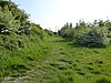 The Brooks Local Nature Reserve