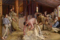 Shearing the Rams (1890) by Tom Roberts
